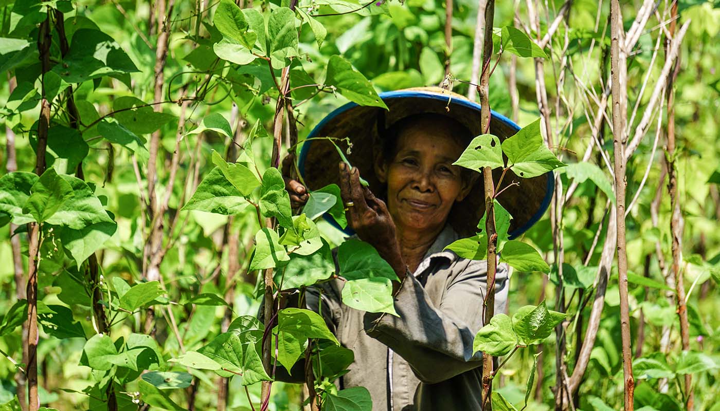 Driven by a commitment to sustainability and community empowerment, YUM Kalimantan has pioneered various agro-based initiatives to support food security, boost local incomes, and promote organic farming.