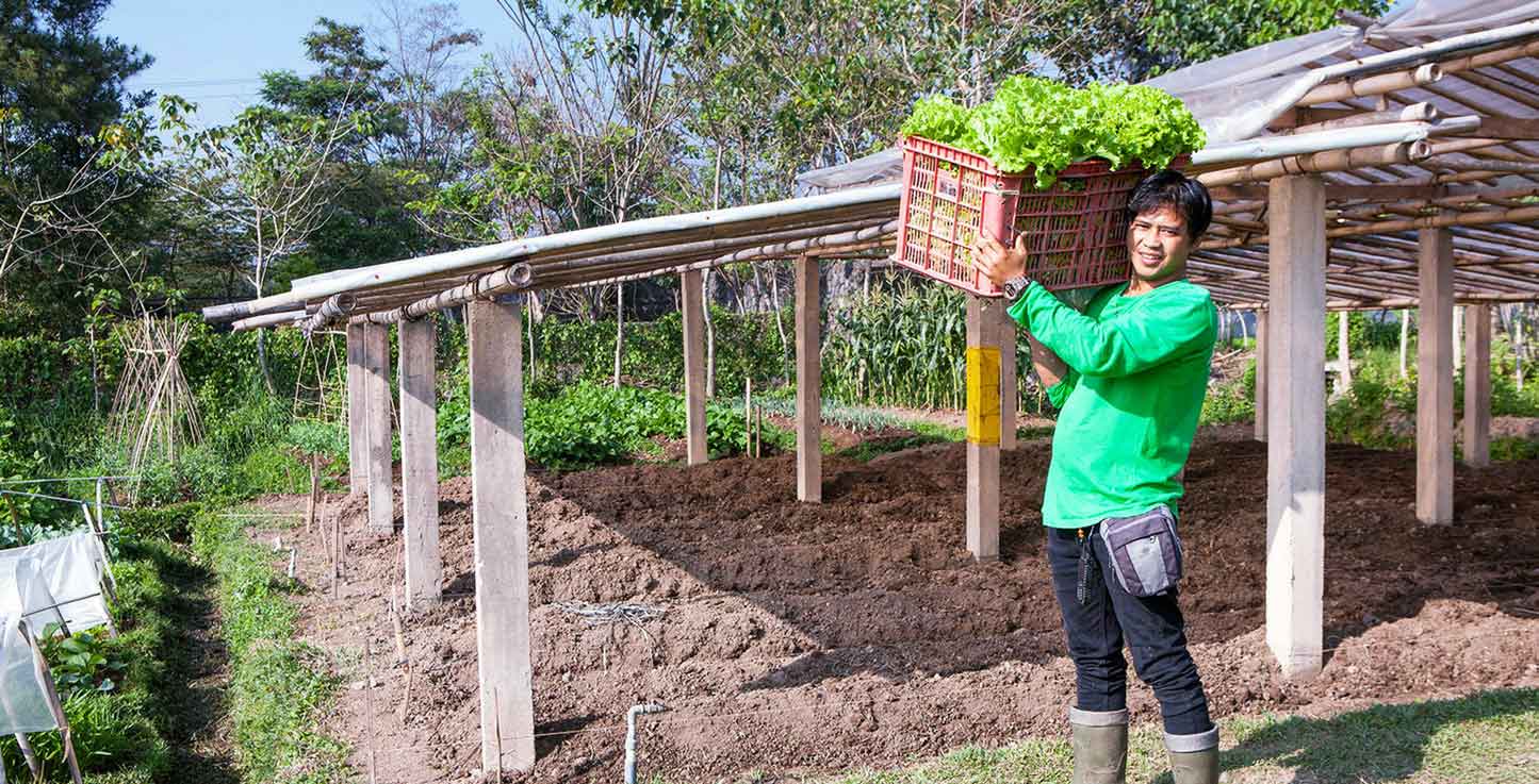 Organic Farming West Java